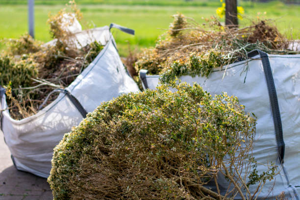 Best Furniture Removal  in Lakeview, OR