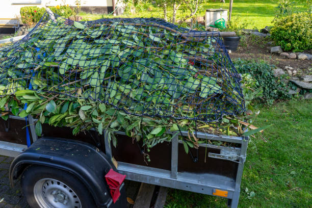 Best Property Management Cleanouts  in Lakeview, OR
